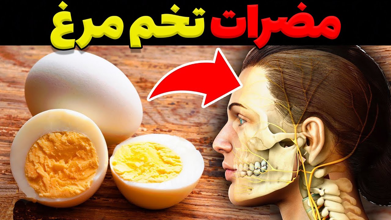 مضرات و خطرات مصرف تخم مرغ