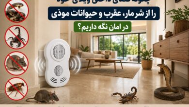 چگونه فضای داخلی ویلای خود را از شر مار، عقرب و حیوانات موذی در امان نگه داریم؟