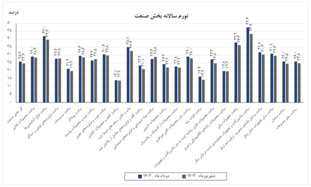 تورم تولیدکننده در بخش صنعت اعلام شد