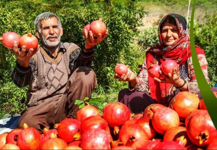 «فارس» سرزمین یاقوت های سرخ ایران