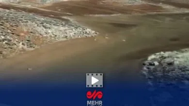 تهران اقتصادی