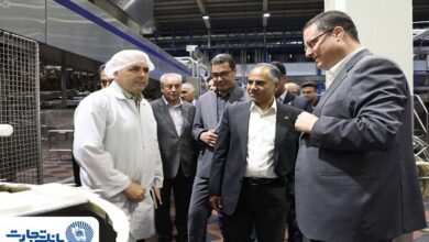 بانک تجارت حامی توسعه و افزایش توان تولیدی «دومینو»