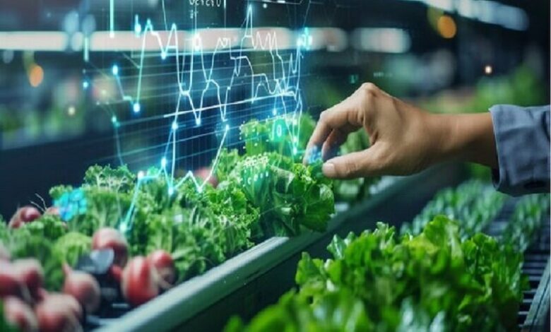 امسال ۴۰ بذر هیبرید معرفی می‌شود