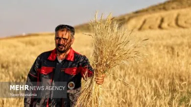 تهران اقتصادی