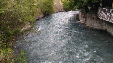 تهران اقتصادی