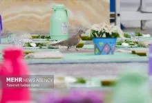 «سجده‌های هنری» در مسجد جامع ساری برگزار شد