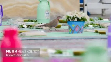 «سجدههای هنری» در مسجد جامع ساری برگزار شد «سجدههای هنری» در مسجد جامع ساری برگزار شد