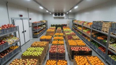 ساخت سردخانه با کولر گازی؛ آیا اسپلیت می تواند جایگزین تجهیزات سردخانه ای شود؟